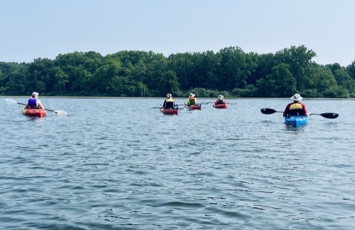 five people kayaking on a lake